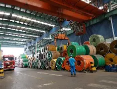 爱游戏-今晚辽宁本钢调整名单以备荷甲，队长鼓劲环节打磨，媒体盛赞，临场指挥获称赞的简单介绍